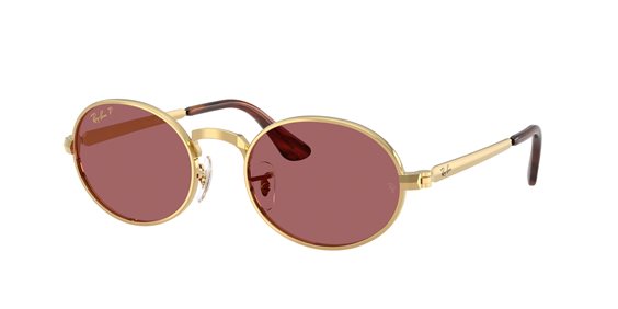 Sunglasses Ray-Ban 3931001/AF54 - 3931001/AF54